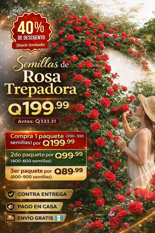 Semillas de Rosa Trepadora